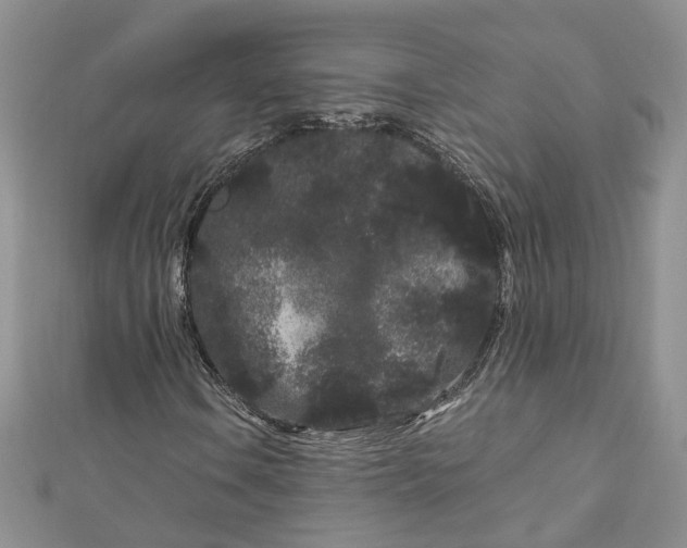 X0000112901106200909041716