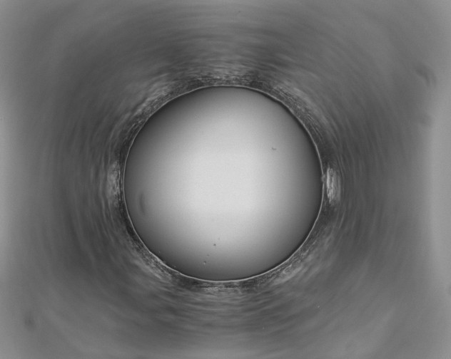 X0000112901107200909041716