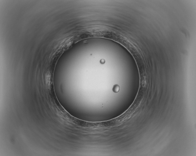 X0000112901108200909041716