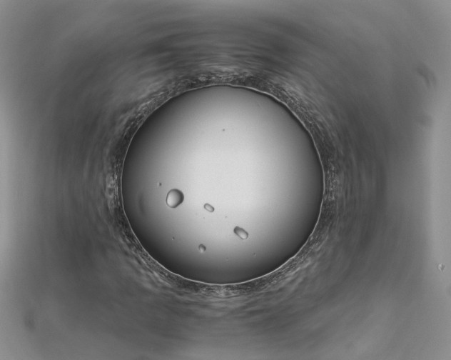 X0000112901109200909041716