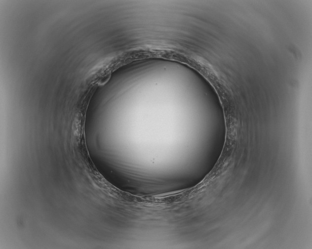 X0000112901110200909041716