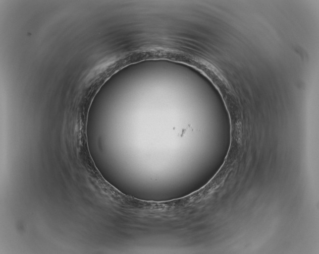 X0000112901111200909041716