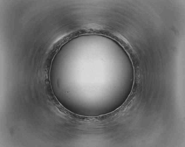 X0000112901112200909041716