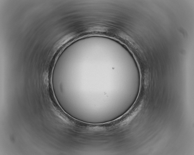 X0000112901113200909041716