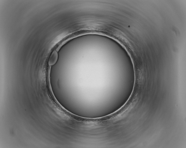 X0000112901114200909041716