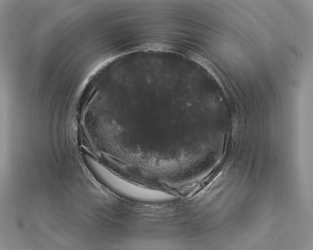 X0000112901115200909041716