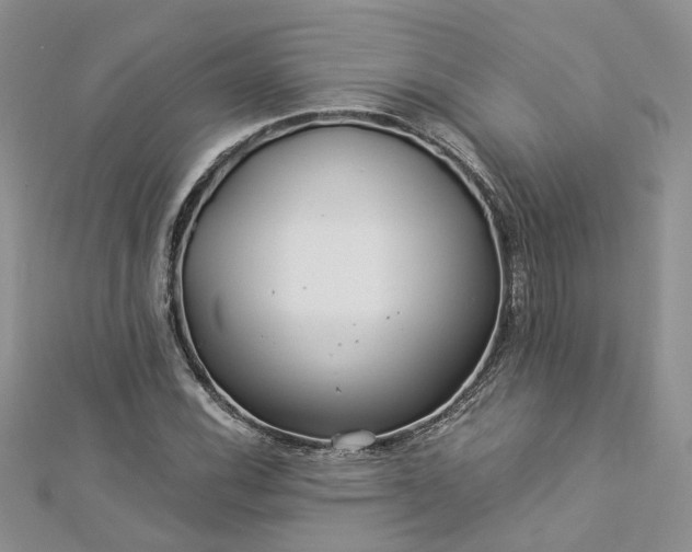 X0000112901116200909041716