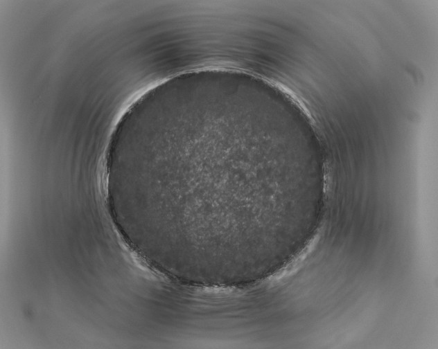 X0000112901117200909041716