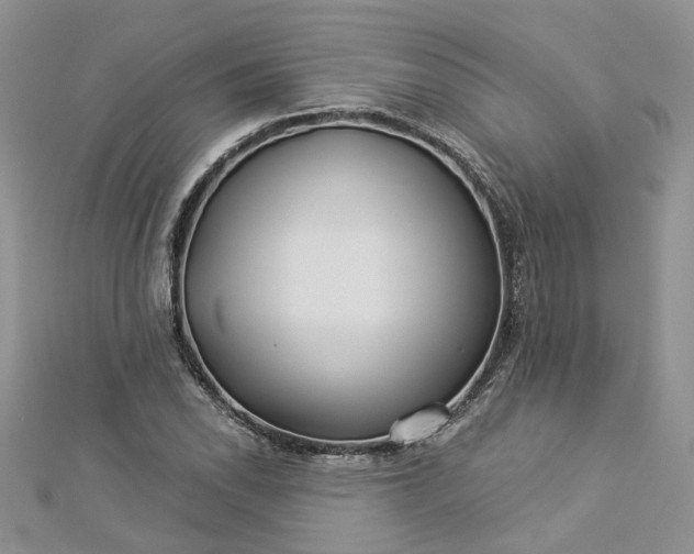 X0000112901118200909041716