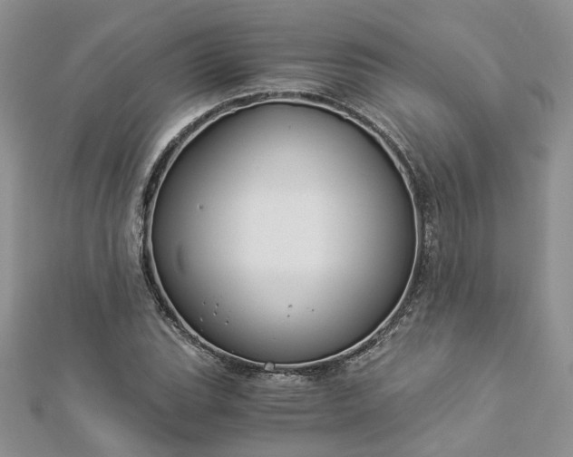 X0000112901119200909041716