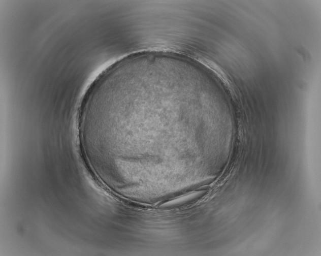 X0000112901120200909041716