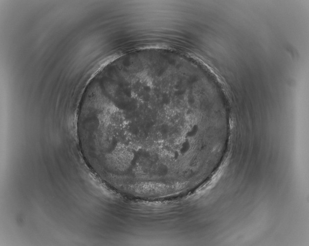 X0000112901121200909041716