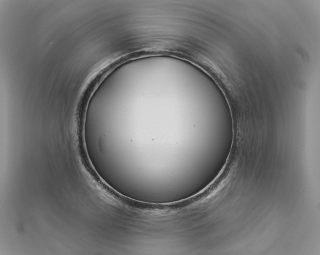 X0000112901122200909041716