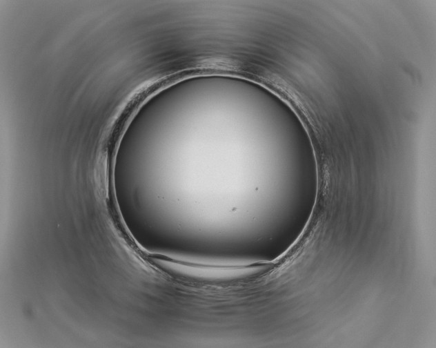 X0000112901123200909041716