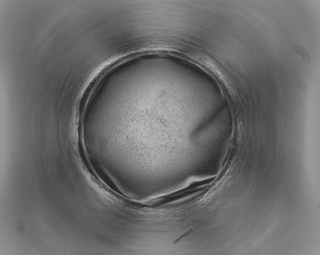 X0000112901124200909041717