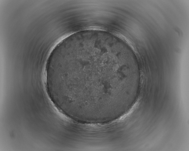 X0000112901125200909041717