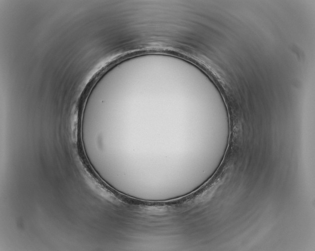 X0000112901126200909041717