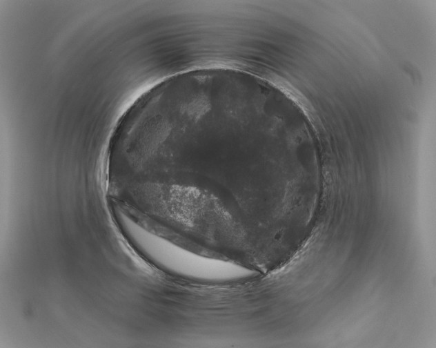 X0000112901127200909041717