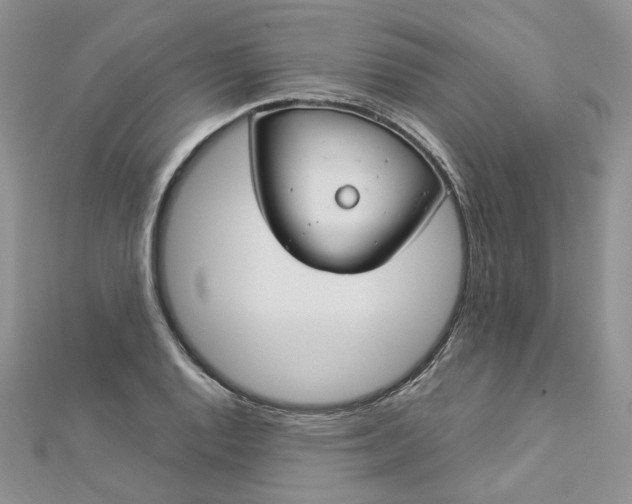 X0000112901128200909041717