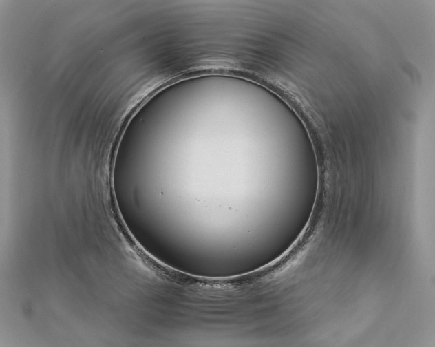 X0000112901129200909041717