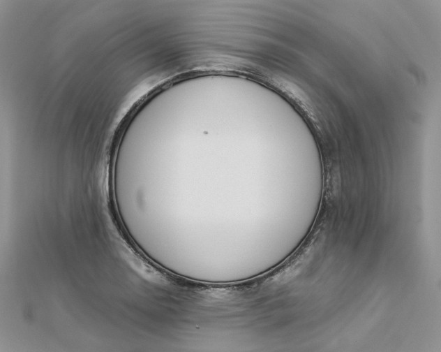 X0000112901130200909041717