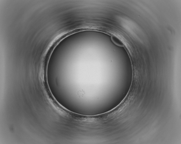 X0000112901131200909041717