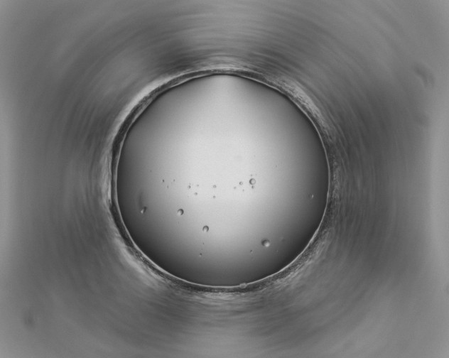 X0000112901132200909041717