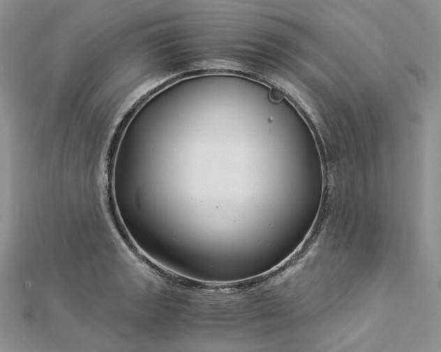 X0000112901133200909041717