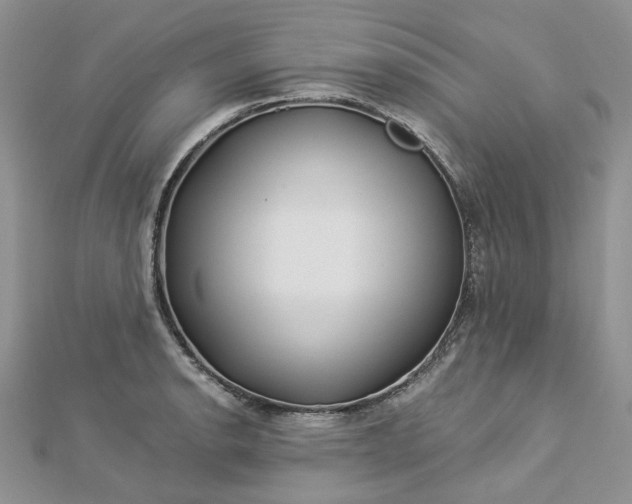 X0000112901134200909041717