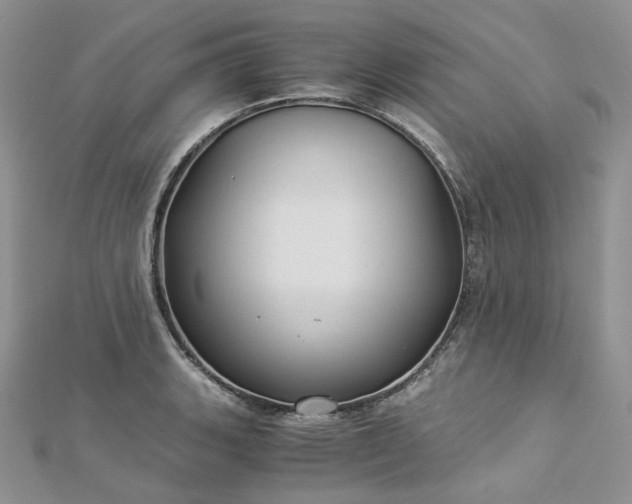 X0000112901135200909041717