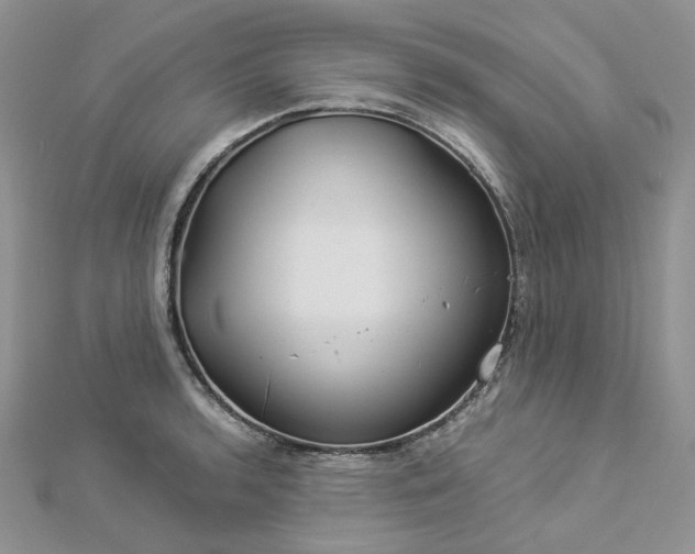 X0000112901136200909041717