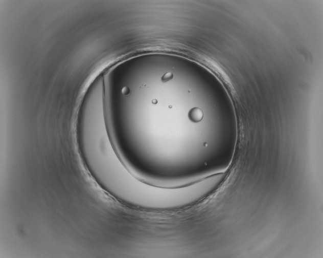 X0000112901138200909041717