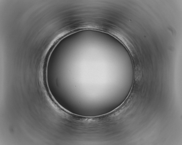 X0000112901139200909041717