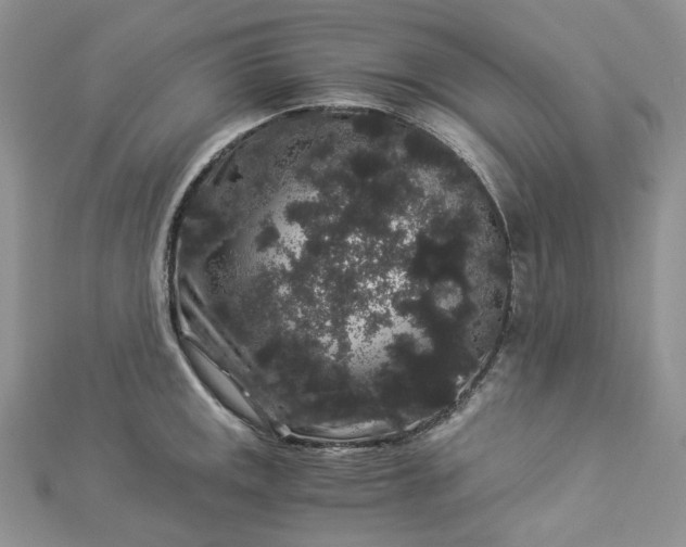 X0000112901141200909041717