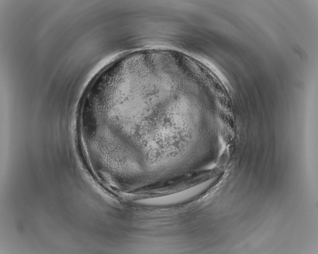 X0000112901142200909041717