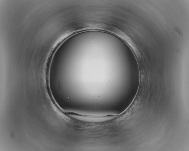 X0000112901143200909041717