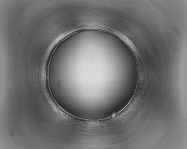 X0000112901144200909041717