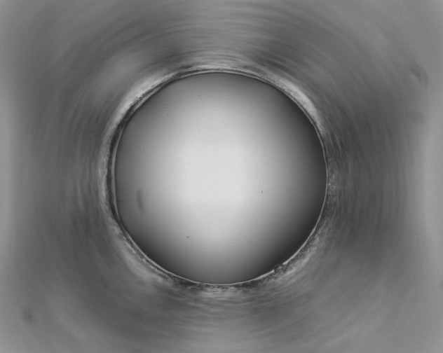 X0000112901146200909041717