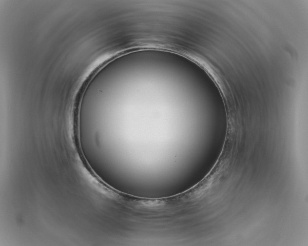 X0000112901147200909041717