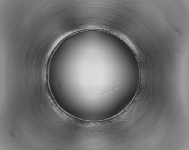 X0000112901148200909041717