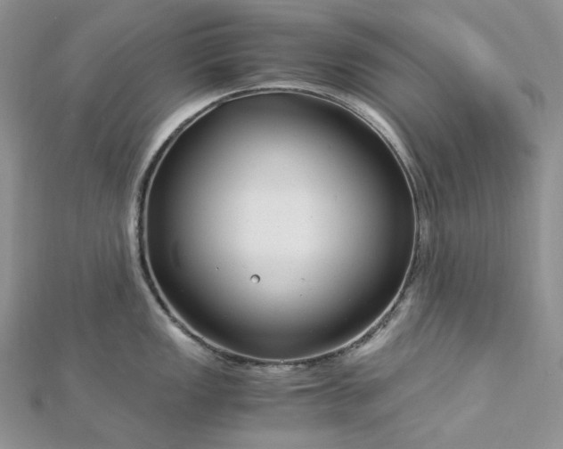 X0000112901149200909041717