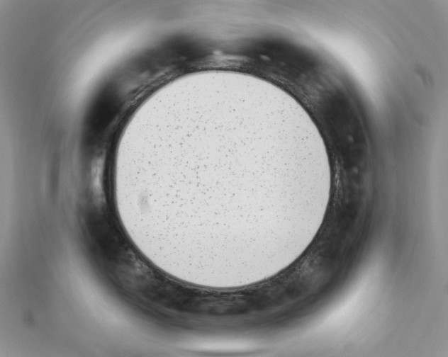 X0000112901150200909041717