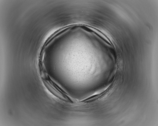 X0000112901151200909041717