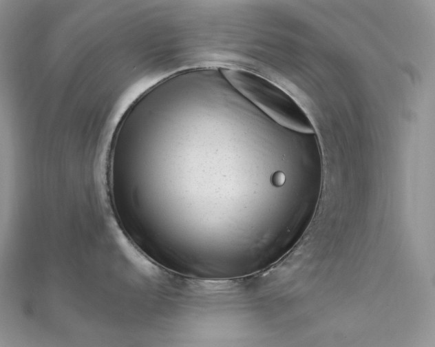 X0000112901152200909041717