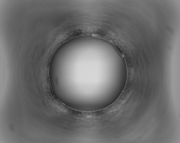 X0000112901153200909041716