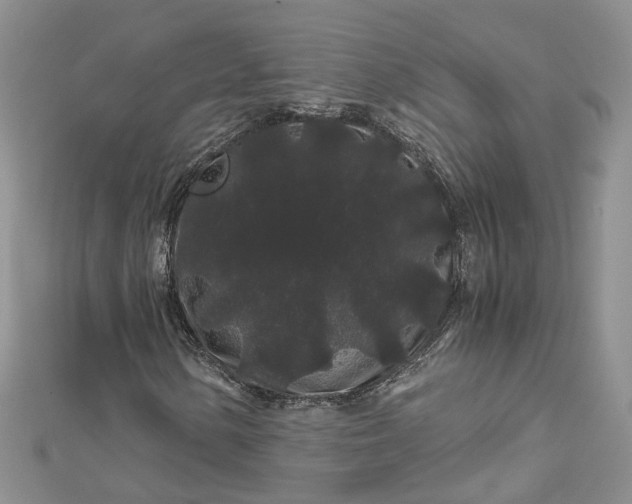 X0000112901154200909041716