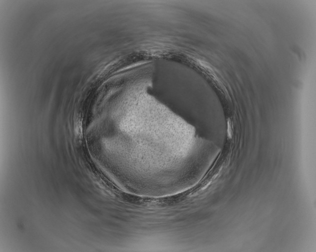 X0000112901155200909041716