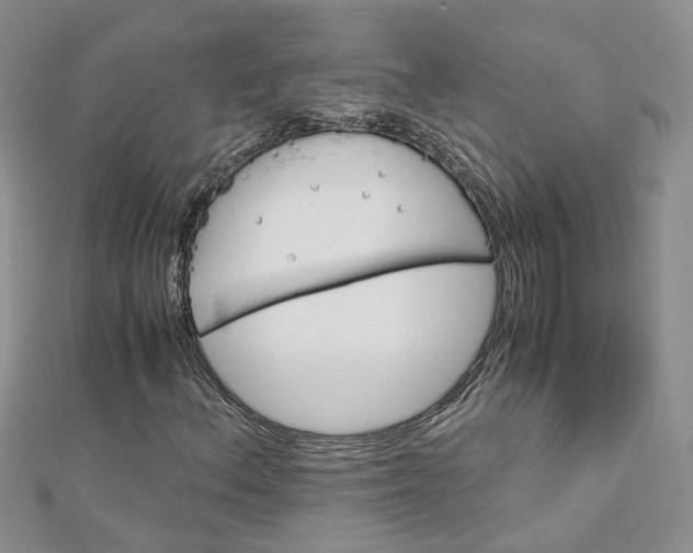 X0000112901156200909041716