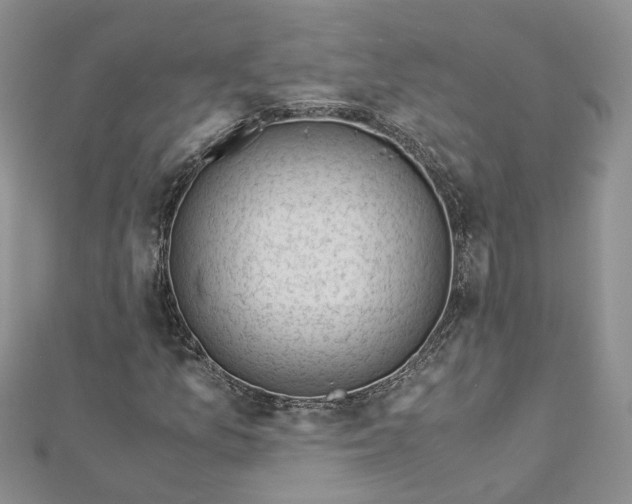 X0000112901157200909041716