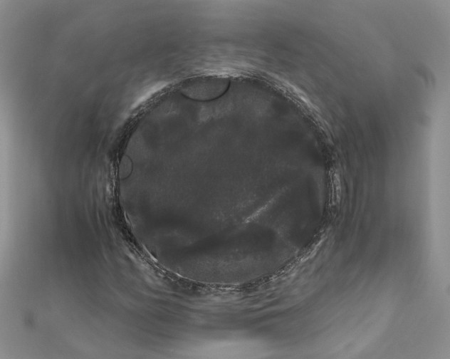 X0000112901158200909041716